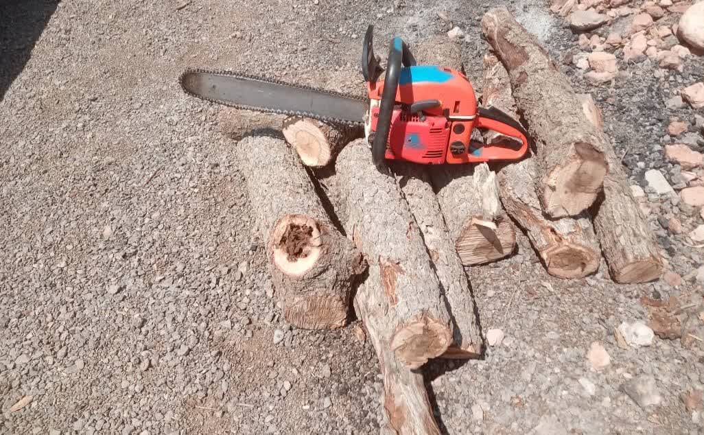 کشف و ضبط شبانه اره موتوری از عامل قطع بلوط در کهگیلویه وبویراحمد